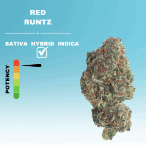 EX RED RUNTZ STICKER