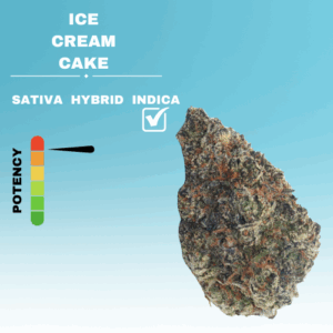 EX ICE CREAM CAKE STICKER