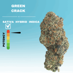 EX GREEN CRACK STICKER