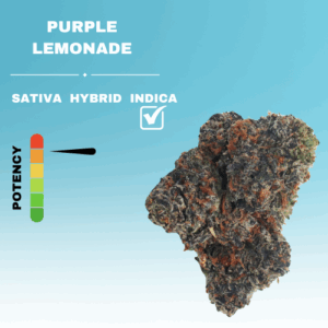 EX PURPLE LEMONADE STICKER