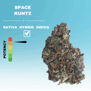 EX SPACE RUNTZ STICKER