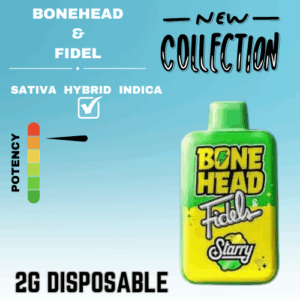 BONEHEAD & FIDEL 2G DISPOSABLE