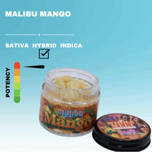 MALIBU MANGO WAX STICKER