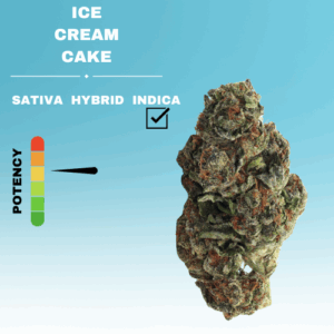 HQ ICE CREAM CAKE STICKER