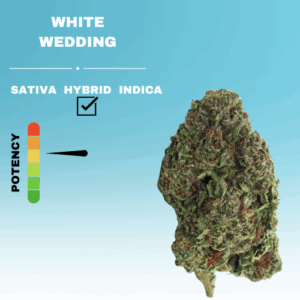 WHITE WEDDING FLOWER STICKER
