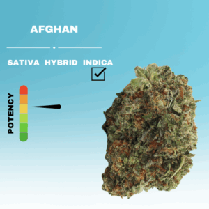 HQ AFGHAN STICKER