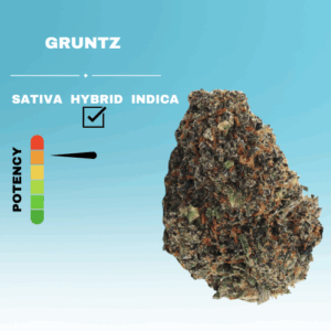 GRUNTZ FLOWER STICKER