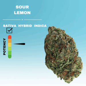 SOUR LEMON FLOWER STICKER