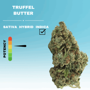 TRUFFLE BUTTER FLOWER STICKER