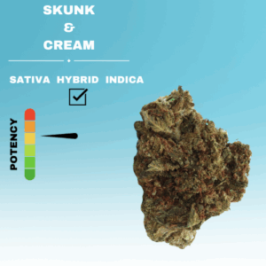 SKUNK & CREAM FLOWER STICKER