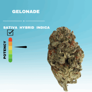 GELONADE FLOWER STICKER