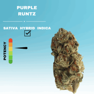PURPLE RUNTZ FLOWER STICKER